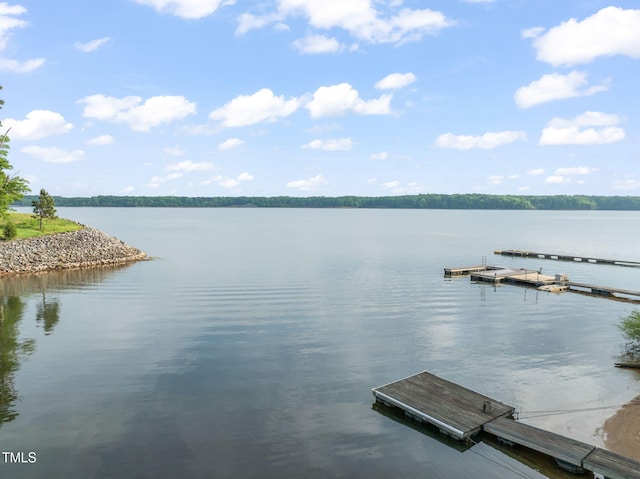 dock area with a water view