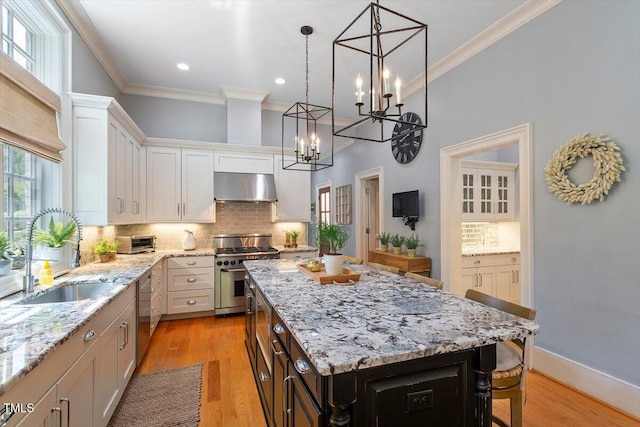 kitchen with appliances with stainless steel finishes, under cabinet range hood, crown molding, a sink, and a kitchen island