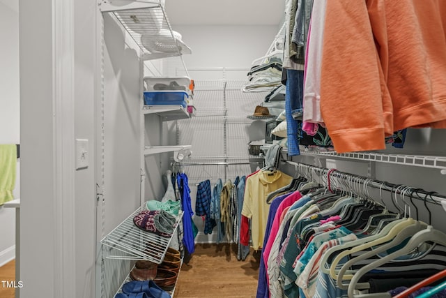 spacious closet featuring wood finished floors