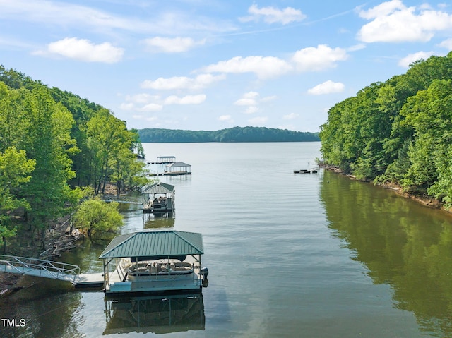 dock area featuring a water view