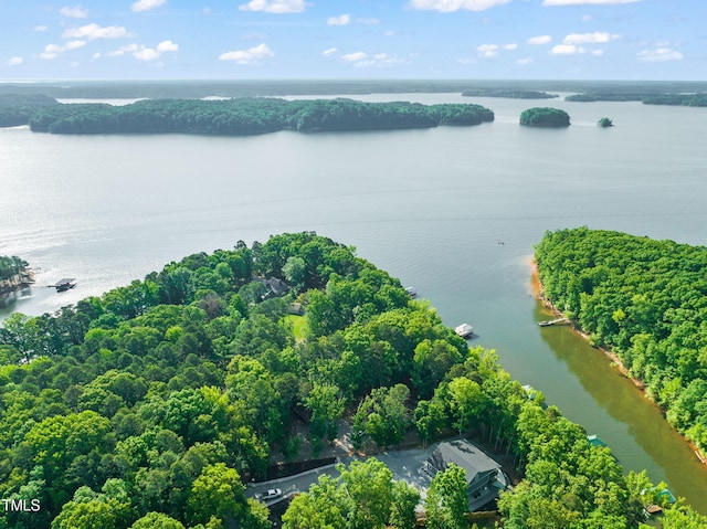 drone / aerial view featuring a water view and a view of trees