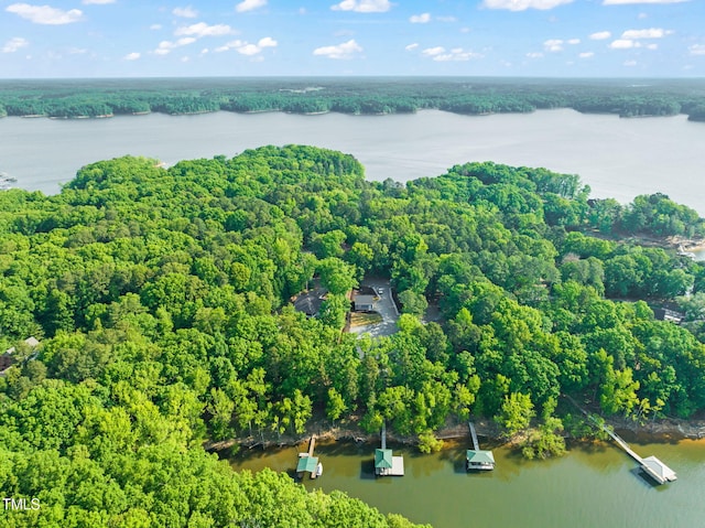 drone / aerial view featuring a forest view and a water view
