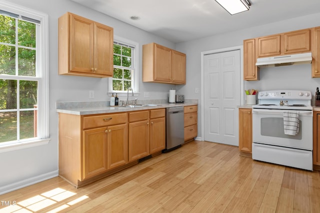 kitchen with stainless steel dishwasher, white electric range, a sink, light countertops, and under cabinet range hood