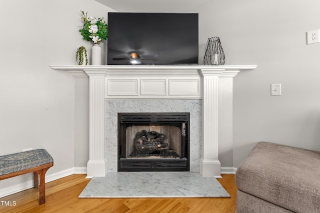 room details featuring baseboards, wood finished floors, and a fireplace