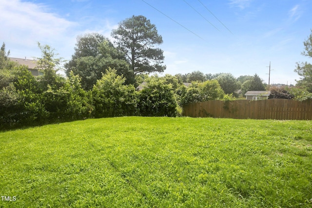 333 Trout Valley Rd, Wake Forest, NC 27587 - view of yard