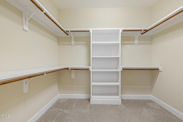 624 Meadowgrass Ln, Wake Forest, NC 27587 - walk in closet featuring carpet floors
