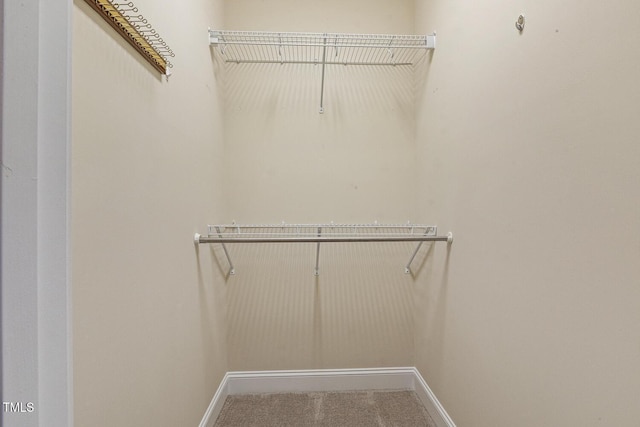 624 Meadowgrass Ln, Wake Forest, NC 27587 - spacious closet with carpet