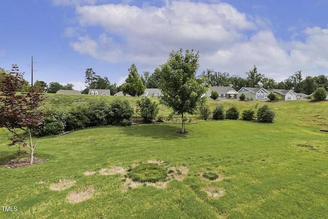 624 Meadowgrass Ln, Wake Forest, NC 27587 - view of grassy yard