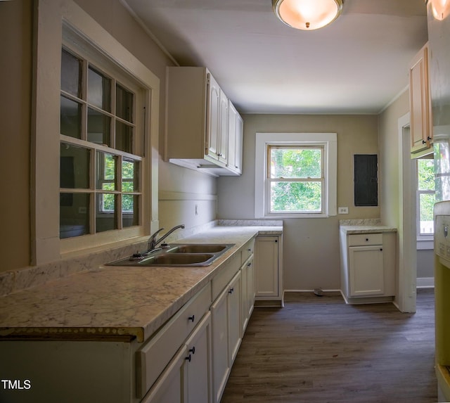 kitchen featuring a sink, plenty of natural light, electric panel, and dark wood-style floors