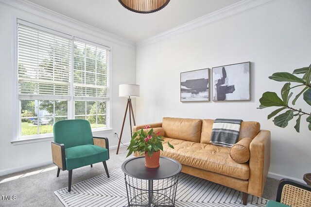 living area featuring baseboards, ornamental molding, and carpet