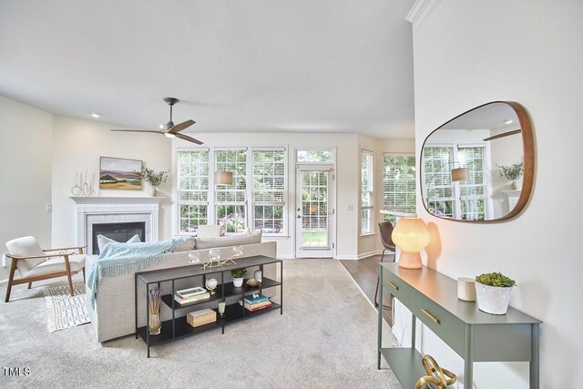 living area with baseboards, a ceiling fan, and a glass covered fireplace