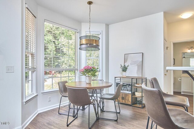 dining area featuring baseboards, wood finished floors, and a wealth of natural light
