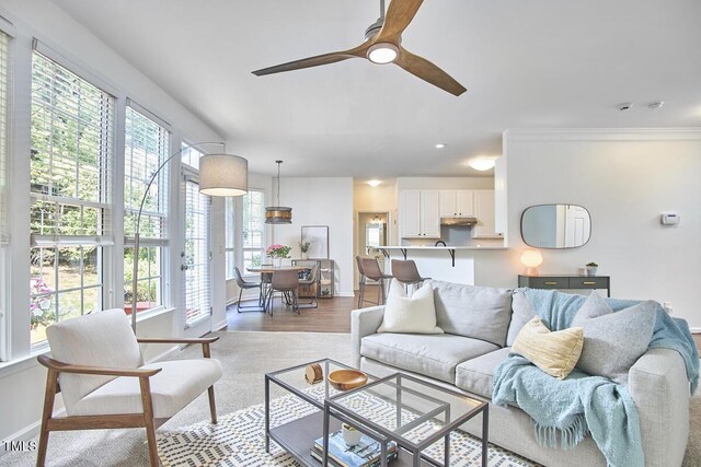 living area with ceiling fan and baseboards