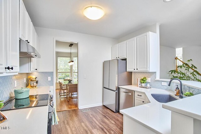 kitchen with appliances with stainless steel finishes, a sink, white cabinets, under cabinet range hood, and light wood-style flooring