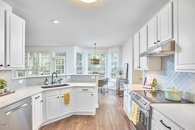 kitchen featuring under cabinet range hood, stainless steel appliances, a healthy amount of sunlight, and a sink