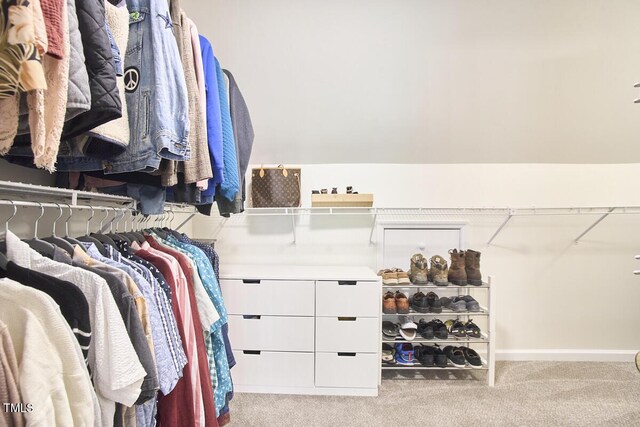 walk in closet with carpet flooring