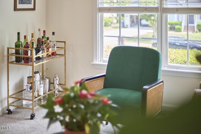 living area with a bar