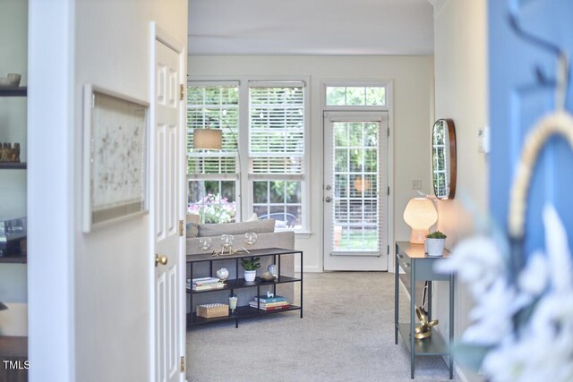 doorway featuring carpet flooring