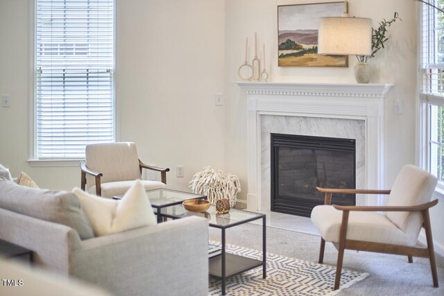 living area with a premium fireplace and baseboards