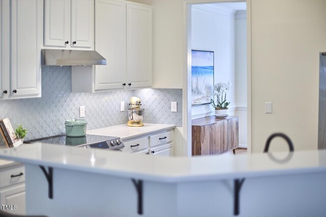kitchen featuring under cabinet range hood, white cabinets, tasteful backsplash, and light countertops