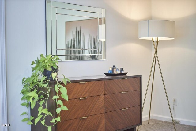 details with baseboards and carpet flooring