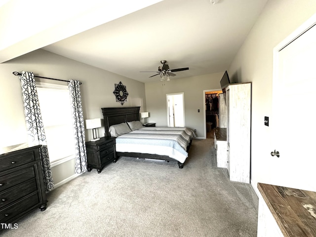 carpeted bedroom with a walk in closet, baseboards, a ceiling fan, and a closet