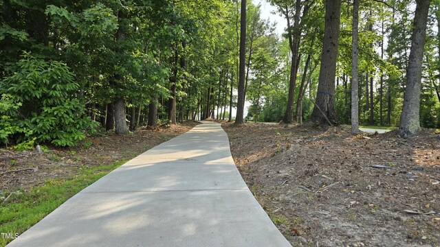 79 Hawkstone Dr, Clayton, NC 27527 - photo 37
