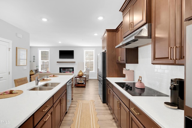 kitchen featuring appliances with stainless steel finishes, a sink, light wood finished floors, open floor plan, and under cabinet range hood