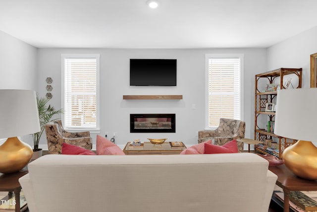 living room featuring a glass covered fireplace, a wealth of natural light, and wood finished floors