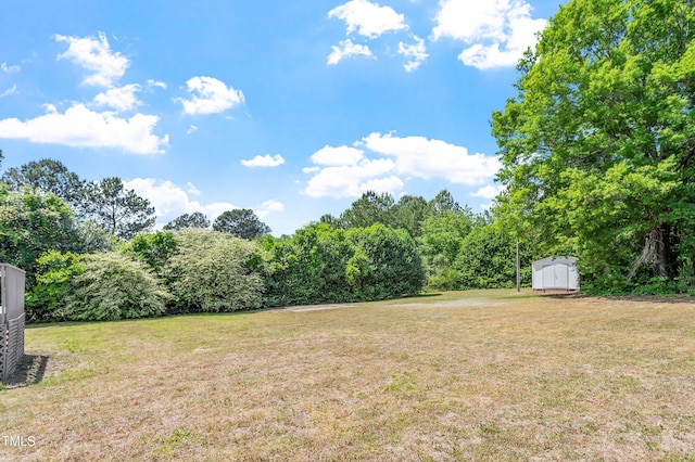 view of yard with an outdoor structure and a storage shed