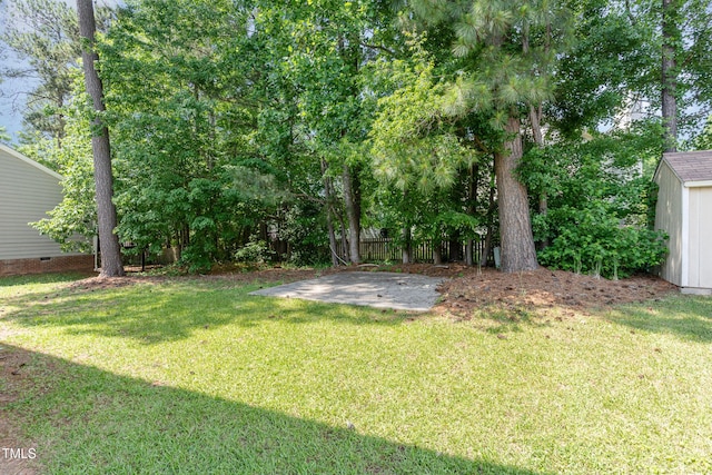 view of yard featuring a shed, a patio area, and an outdoor structure