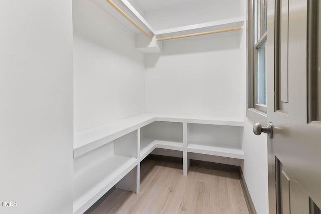 walk in closet featuring wood finished floors
