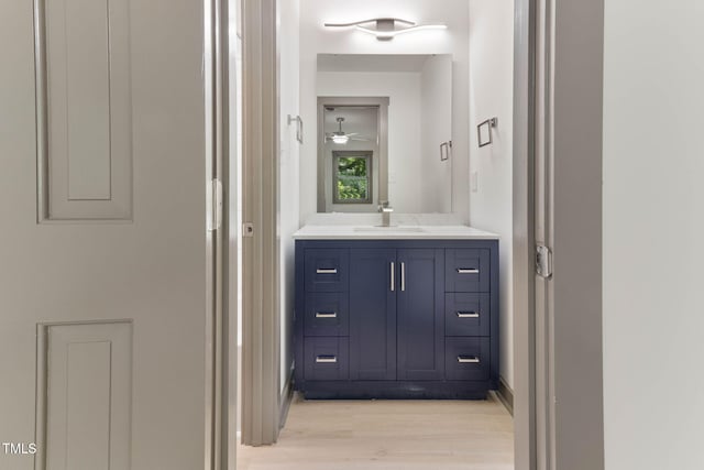 bathroom with wood finished floors and vanity