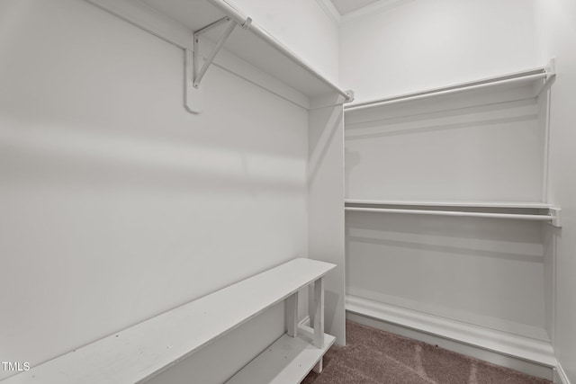 109 Rustler Rd, Louisburg, NC 27549 - walk in closet featuring carpet flooring