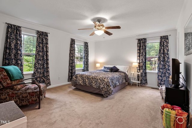 106 Palomino Cv, Louisburg, NC 27549 - photo 20