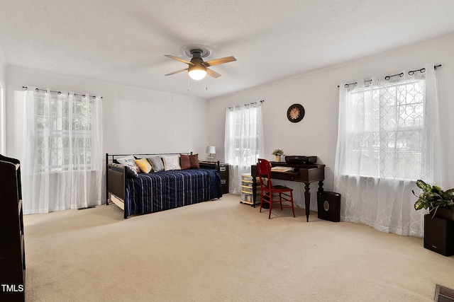 106 Palomino Cv, Louisburg, NC 27549 - photo 22