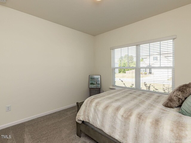 carpeted bedroom featuring baseboards and multiple windows
