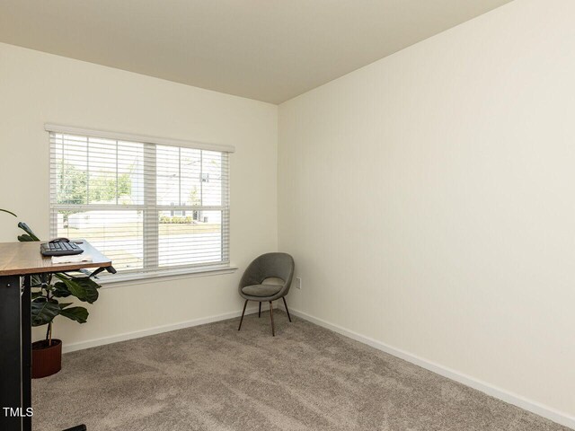sitting room with baseboards and carpet flooring