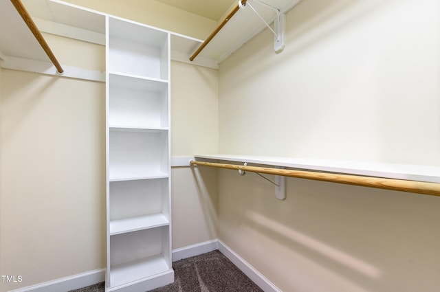 walk in closet with dark colored carpet