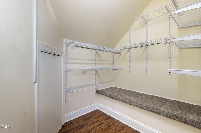 walk in closet featuring wood finished floors