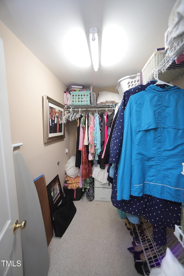 spacious closet with carpet flooring