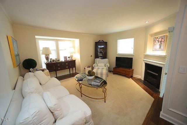 living area featuring baseboards, ornamental molding, wood finished floors, and a fireplace