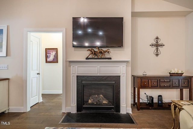 room details with baseboards, a fireplace with flush hearth, and wood finished floors