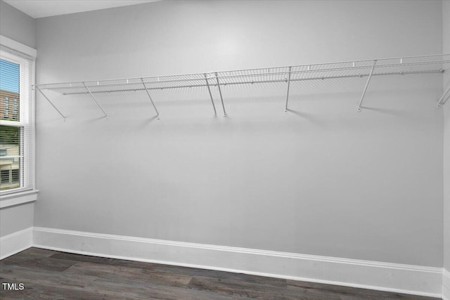 walk in closet featuring dark wood-type flooring