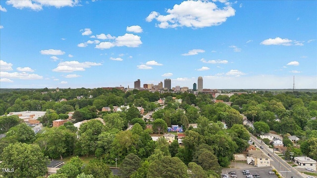 bird's eye view