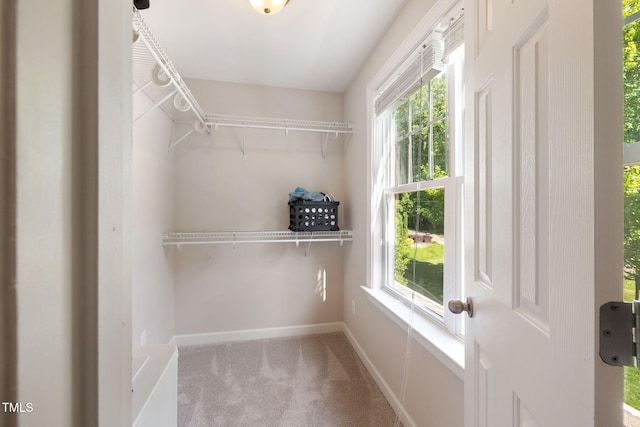 walk in closet featuring carpet floors
