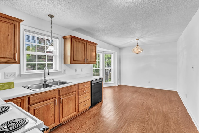 7109 Spanglers Spring Way, Raleigh, NC 27610 - kitchen featuring brown cabinets, a sink, light wood-style floors, a textured ceiling, and black dishwasher