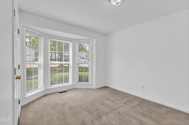 7109 Spanglers Spring Way, Raleigh, NC 27610 - carpeted spare room with a healthy amount of sunlight, baseboards, and visible vents