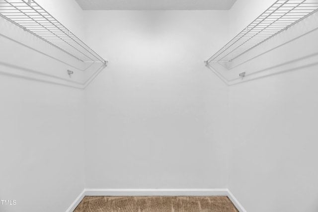 7109 Spanglers Spring Way, Raleigh, NC 27610 - spacious closet with carpet floors