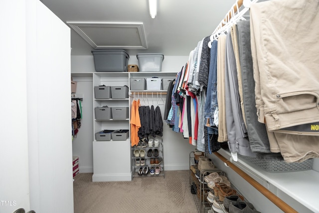 walk in closet featuring carpet floors and attic access